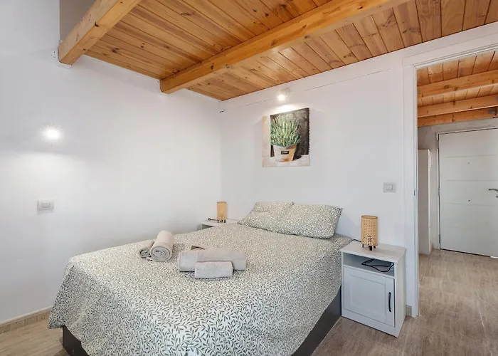 Torviscas Endless Summer אדחה