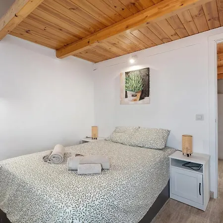 Torviscas Endless Summer アデヘ