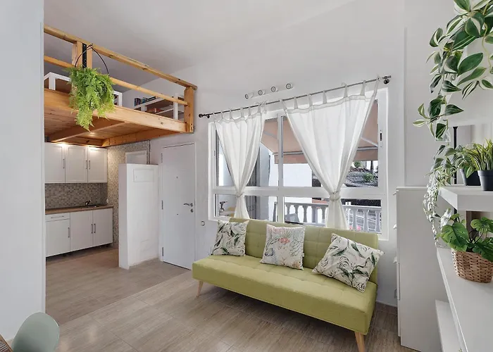 Torviscas Endless Summer أذيخي